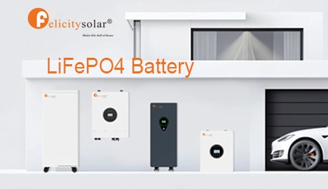 Felicitysolar Lithium LiFePO4 Battery